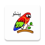 english pashto dictionary android application logo